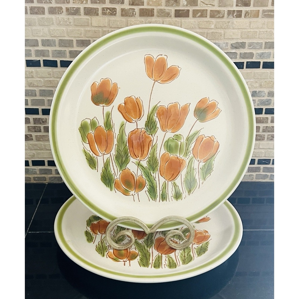 Meadowbrook Stoneware‎ Dinner Plates 10.5" Tulip Floral Orange Poppies Japan X2